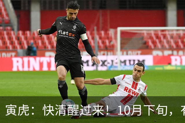 寅虎：快清醒过来！10月下旬，有人即将到访，并非为了讨债